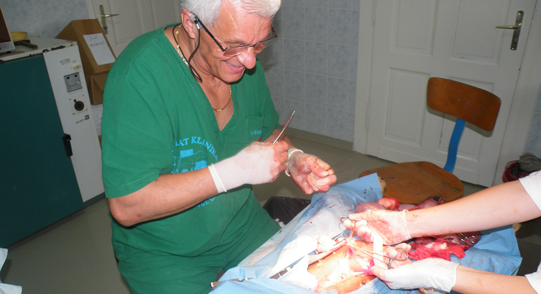 Dr. Takó Béla állatorvos - Nagyatád